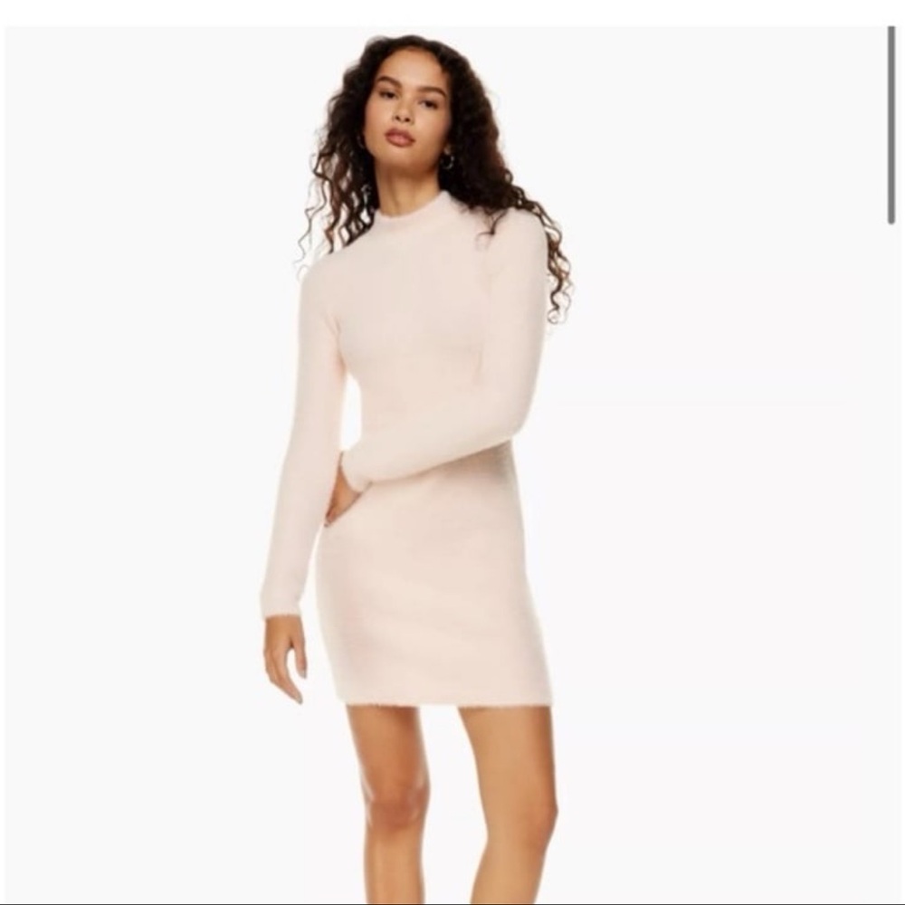 Aritzia Sunday Best Soft Pink Knit Fuzzy Dress!  Like new!💜🎀💜🎀
